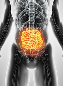 SIBO- brain gut hormone connection