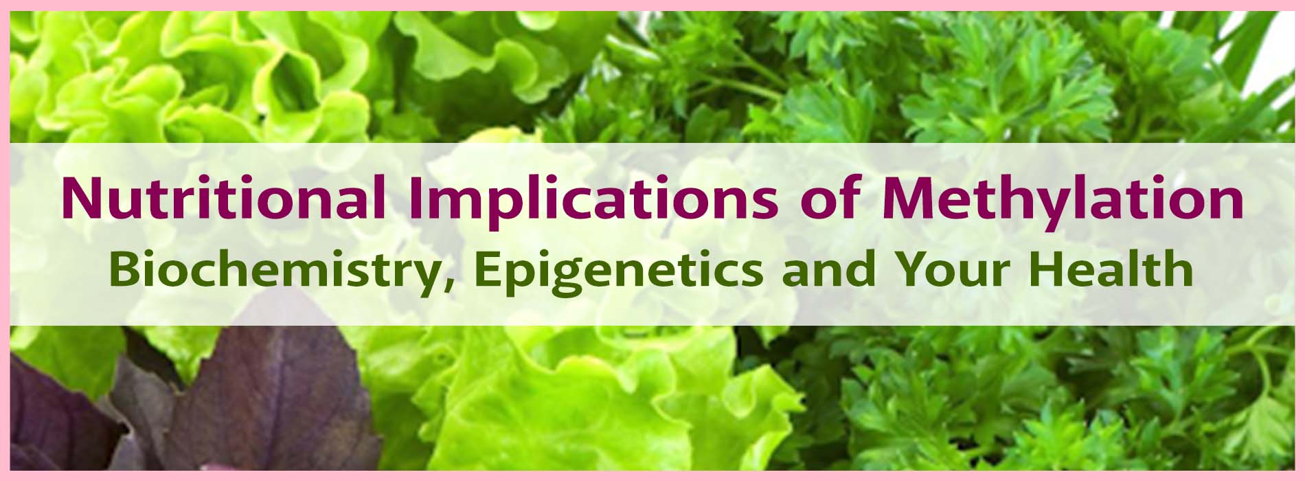methylation-course-page-banner-v2